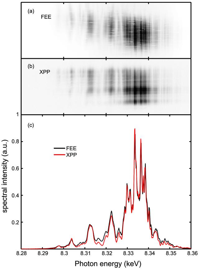 [Figure 6]