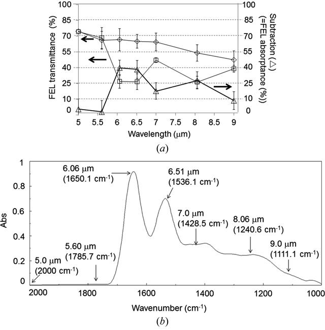 [Figure 1]