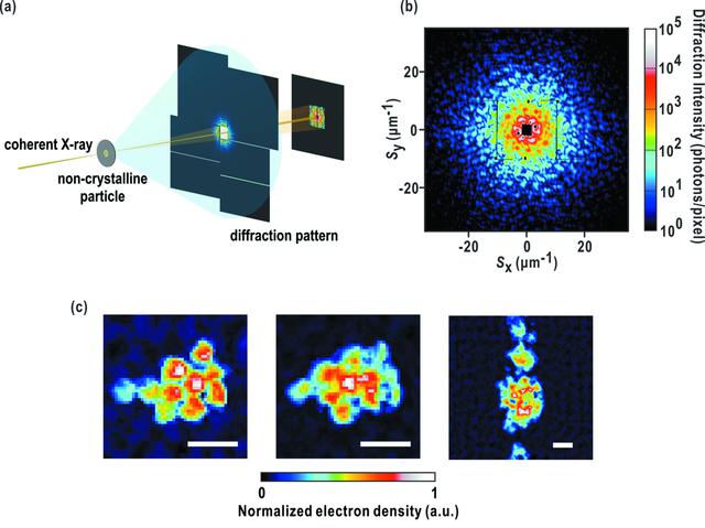 [Figure 1]