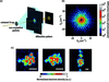 [Figure 1]