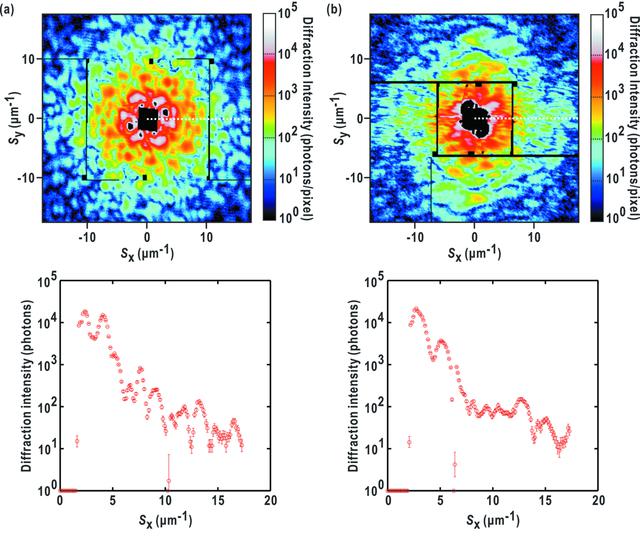 [Figure 3]