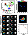 [Figure 5]