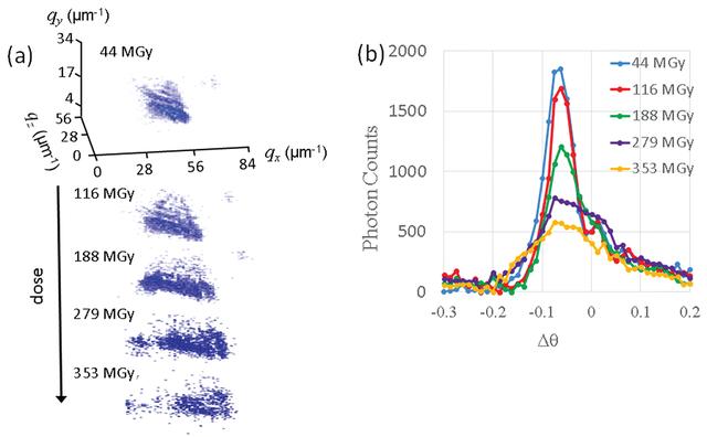 [Figure 1]