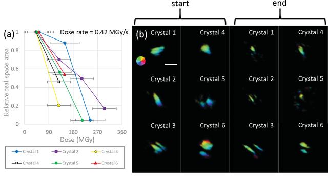 [Figure 5]