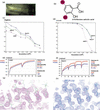 [Figure 3]