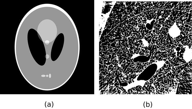 [Figure 8]