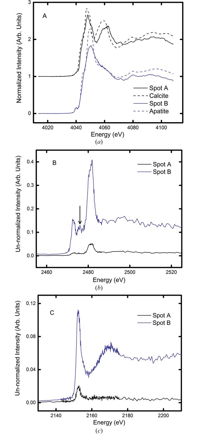 [Figure 4]