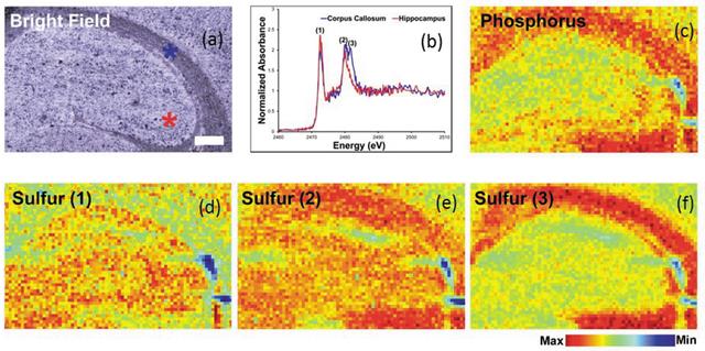 [Figure 5]