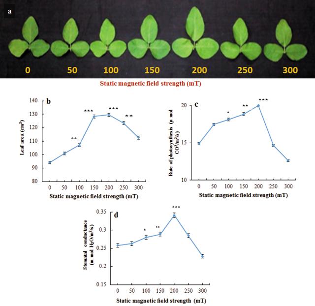 [Figure 2]