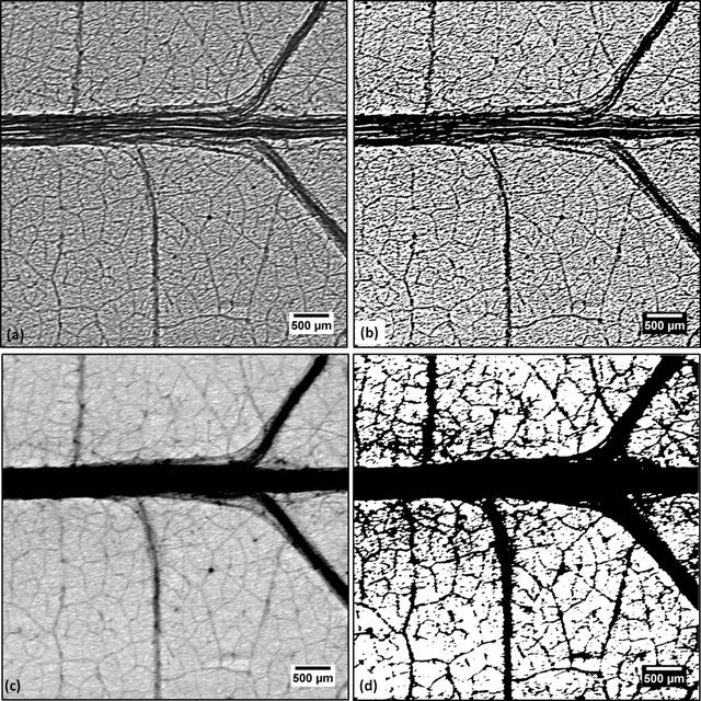 [Figure 5]