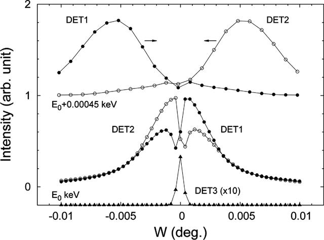 [Figure 5]