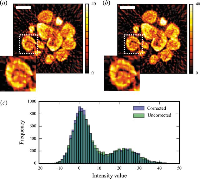 [Figure 6]