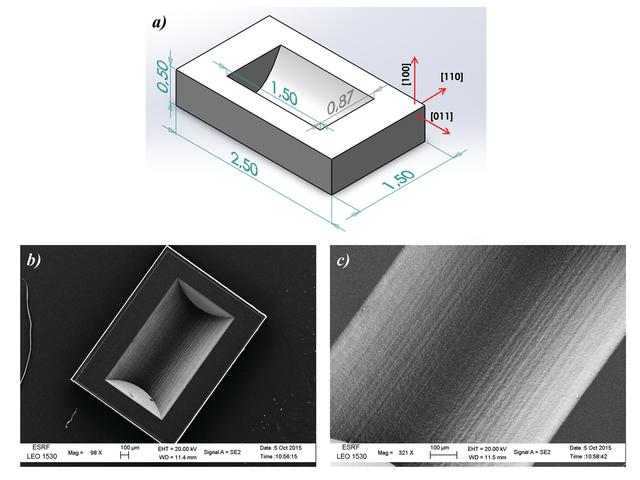 [Figure 1]