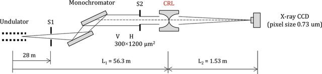 [Figure 2]