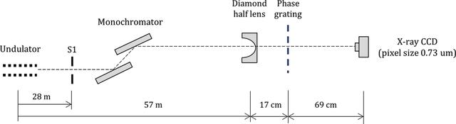 [Figure 4]