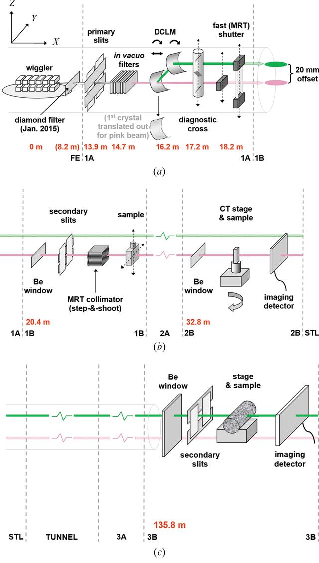 [Figure 1]