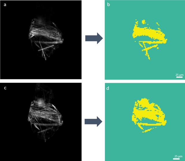 [Figure 2]