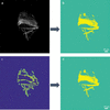 [Figure 5]