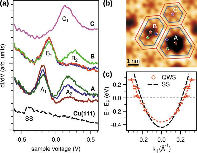 [Figure 13]