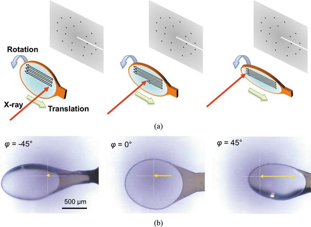 [Figure 1]