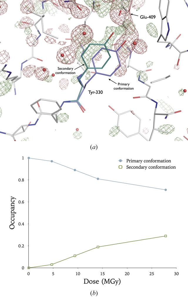 [Figure 6]