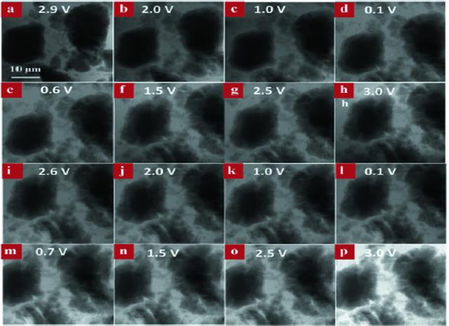 [Figure 12]