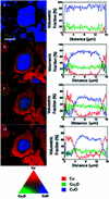 [Figure 13]