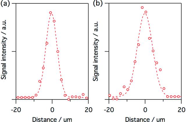 [Figure 5]