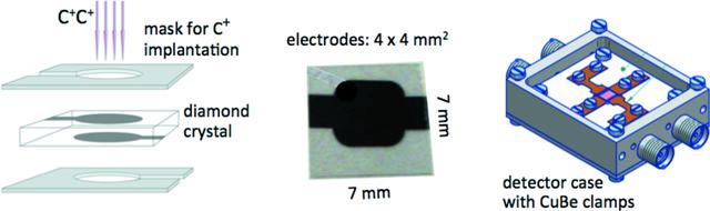 [Figure 5]