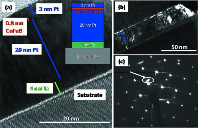 [Figure 3]