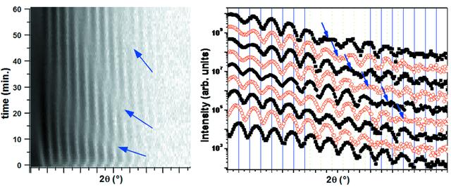 [Figure 4]