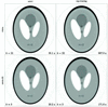 [Figure 4]