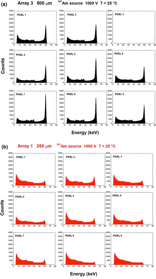 [Figure 5]