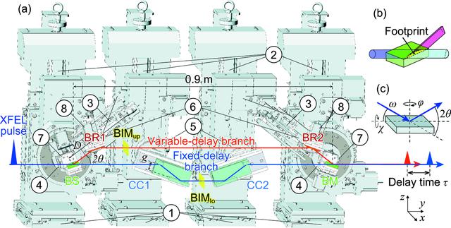 [Figure 1]