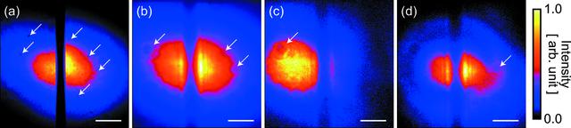 [Figure 2]