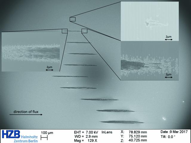 [Figure 3]