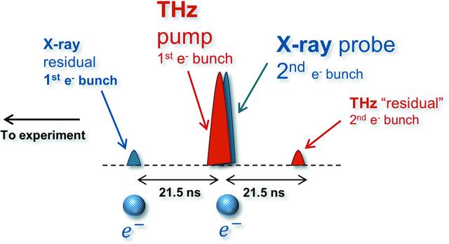 [Figure 1]