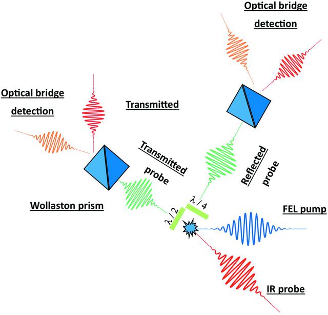 [Figure 6]