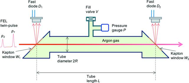 [Figure 1]