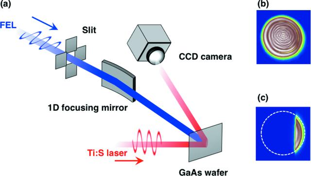 [Figure 1]