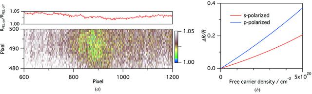 [Figure 4]