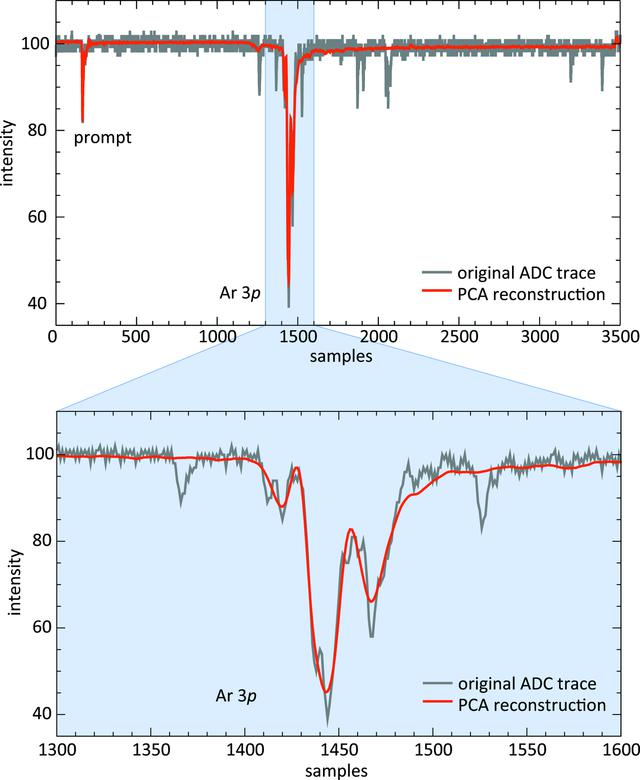 [Figure 10]