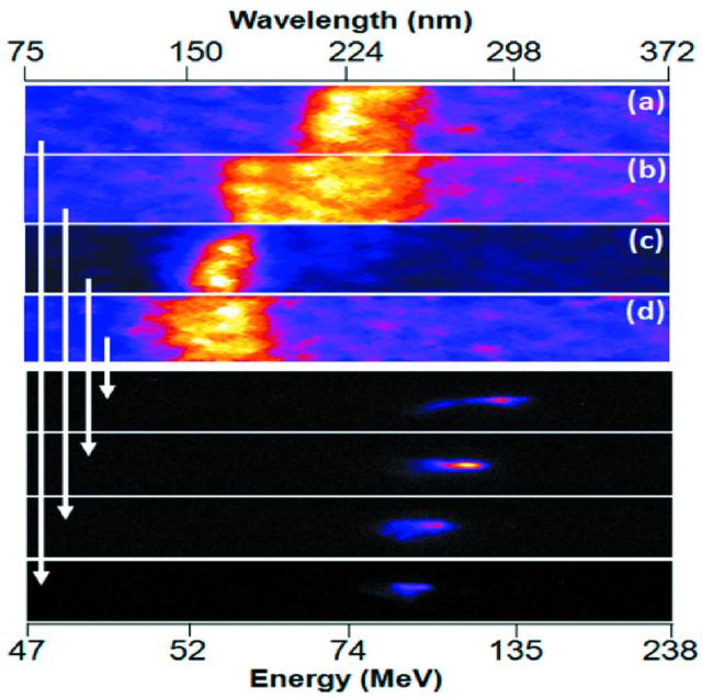 [Figure 3]