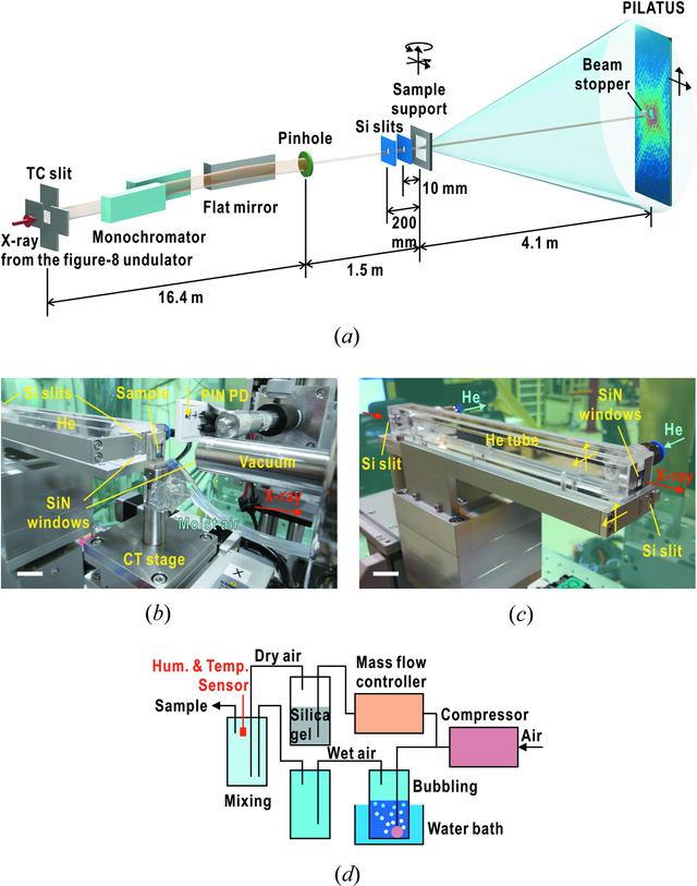 [Figure 1]