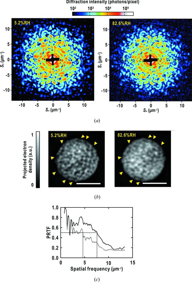 [Figure 6]