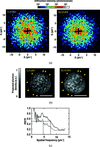 [Figure 6]