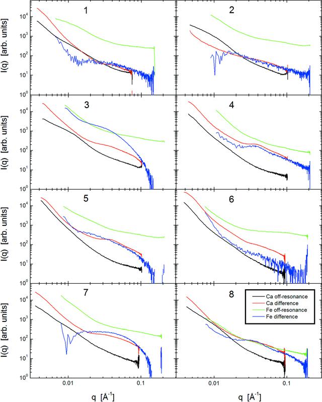 [Figure 5]