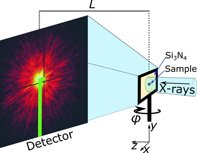 [Figure 1]