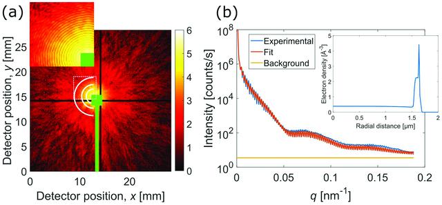 [Figure 2]