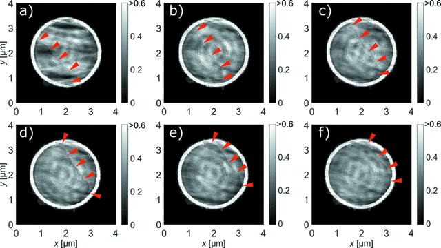 [Figure 3]